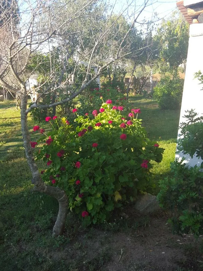 Villa Residenze Soledade à Olbia Italie
